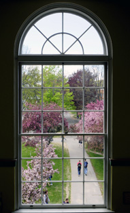 ɣDЌW(xu) Thornton Academy